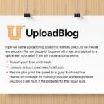 privacy policy uploadblog