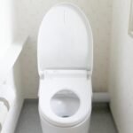 Blocked Toilets