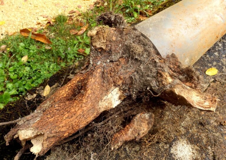 Blocked Pipe Repair